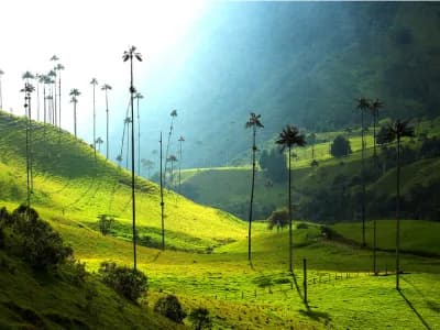 Destino Cafetero